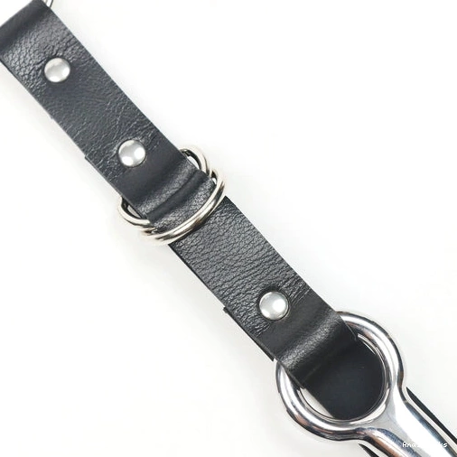 Anal Hooks 5853 Leash Anal Hook and Collar with EverydayUse Kinky 0729